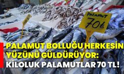 Palamut bolluğu herkesin yüzünü güldürüyor: Kiloluk palamutlar 70 tl!