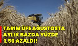 Tarım ÜFE ağustosta aylık bazda yüzde 1,56 azaldı!