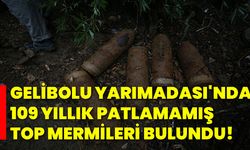 Gelibolu Yarımadası'nda 109 yıllık patlamamış top mermileri bulundu!