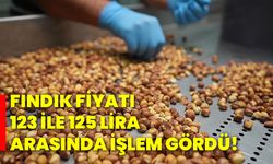 Fındık fiyatı 123 ile 125 lira arasında işlem gördü!