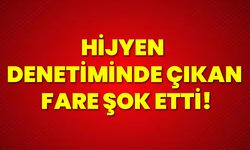 Hijyen denetiminde çıkan fare şok etti!