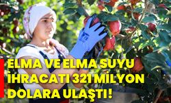 Elma ve elma suyu ihracatı 321 milyon dolara ulaştı!