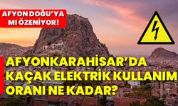 Afyonkarahisar’da kaçak elektrik kullanım oranı ne kadar? Afyon doğu’ya mı özeniyor!