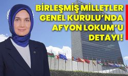 Birleşmiş Milletler  Genel Kurulu’nda Afyon Lokum’u  detayı!