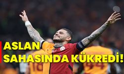 Aslan sahasında kükredi!