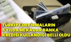 Türkiye'de firmaların 5 yılda ne kadar banka kredisi kullandığı belli oldu!