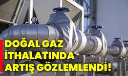 Doğal gaz ithalatında artış gözlemlendi!