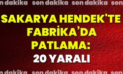 Sakarya Hendek'te  fabrika ’da patlama: 20 yaralı