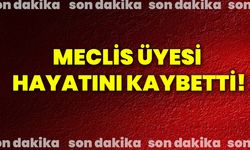 Meclis Üyesi hayatını kaybetti!