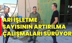 Ari işletme sayısının artırılması  çalışmaları sürüyor