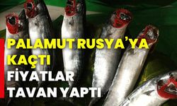 Palamut Rusya’ya kaçtı:Fiyatlar tavan yaptı