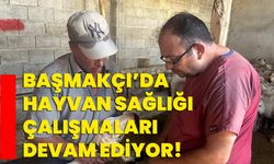 Başmakçı’da hayvan sağlığı çalışmaları devam ediyor!