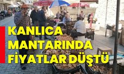 Kanlıca mantarında fiyatlar düştü