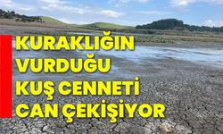 Kuraklığın vurduğu kuş cenneti can çekişiyor