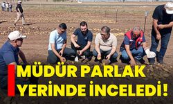 Müdür Parlak yerinde inceledi!