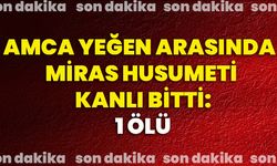 Amca yeğen arasında miras husumeti kanlı bitti: 1 ölü