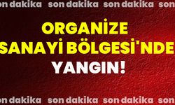 Organize Sanayi Bölgesi'nde Ot Yangını!