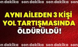 Aynı aileden 3 kişi yol tartışmasında öldürüldü!