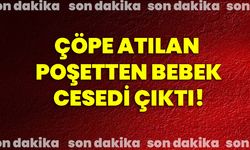 Çöpe atılan poşetten bebek cesedi çıktı!