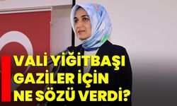 Vali Yiğitbaşı Gaziler için ne sözü verdi?