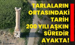 Tarlaların ortasındaki tarih, 200 yılı aşkın süredir ayakta!