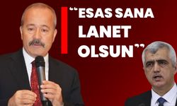 MHP'li Taytak'tan Gergerlioğlu’na cevabı: “Esas sana lanet olsun”