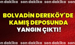 Bolvadin Dereköy'de kamış deposunda yangın çıktı!