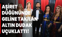 Aşiret Düğününde Geline Takılan Altın Dudak Uçuklattı!