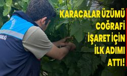 Karacalar Üzümü Coğrafi İşaret İçin İlk Adım Atıldı