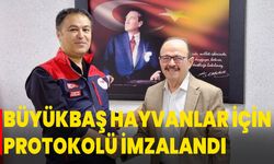 Büyükbaş Hayvanlar İçin Protokolü İmzalandı