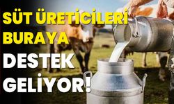 Süt Üreticileri Buraya Destek Geliyor!