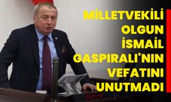 Milletvekili Olgun İsmail Gaspıralı'nın Vefatını Unutmadı