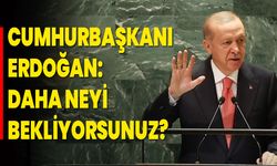 Cumhurbaşkanı Erdoğan: Daha Neyi Bekliyorsunuz?