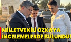 Milletvekili Özkaya, İncelemelerde Bulundu!