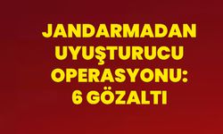 Jandarmadan uyuşturucu operasyonu:6 gözaltı