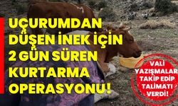 Uçurumdan düşen inek için 2 gün süren kurtarma operasyonu