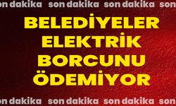 Belediyeler Elektrik Borcunu Ödemiyor