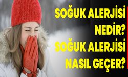 Soğuk Alerjisi Nedir? Soğuk Alerjisi Nasıl Geçer?