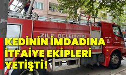 Kedinin imdadına itfaiye ekipleri yetişti!