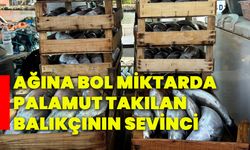 Ağına bol miktarda palamut takılan balıkçının sevinci