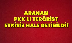 Aranan PKK'lı terörist etkisiz hale getirildi!