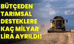 Bütçeden tarımsal desteklere kaç milyar lira ayrıldı!