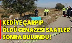 Kediye çarpıp öldü, cenazesi saatler sonra bulundu!