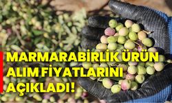 Marmarabirlik ürün alım fiyatlarını açıkladı!