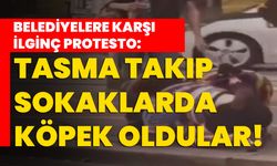 Belediyelerin Köpek Vergisine Karşı İlginç Protesto: Tasma Takıp Sokaklarda Köpek Oldular!