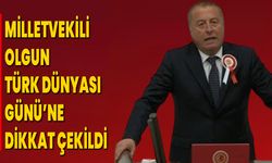 MİLLETVEKİLİ OLGUN TÜRK DÜNYASI GÜNÜ’NE DİKKAT ÇEKİLDİ