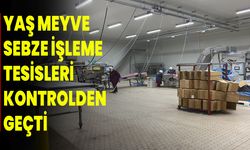 Yaş Meyve-Sebze İşleme Tesisleri Kontrolden Geçti