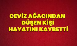 Ceviz ağacından düşen kişi hayatını kaybetti