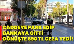 Caddeye park edip bankaya gitti, dönüşte 690 tl ceza yedi!