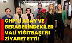 CHP’li Abay ve beraberindekiler Vali Yiğitbaşı’nı ziyaret etti!